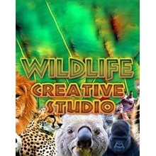 Wildlife Creative Studio