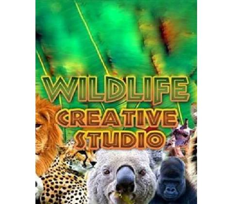 Wildlife Creative Studio