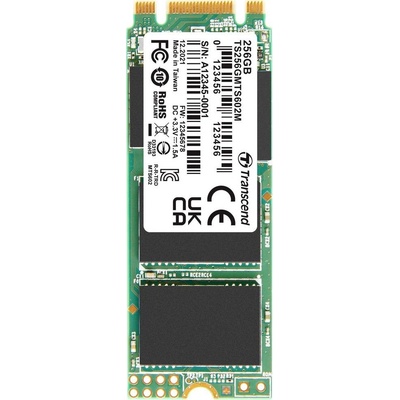 Transcend MTS602M 256GB, TS256GMTS602M
