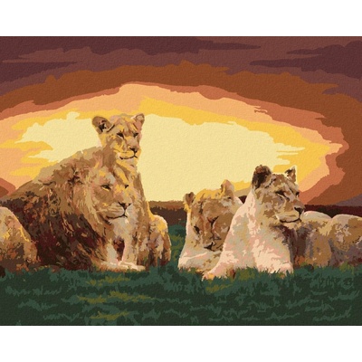Zuty Malování podle čísel Lví rodina 40 x 50 cm vypnuté plátno na rám 8596530053613