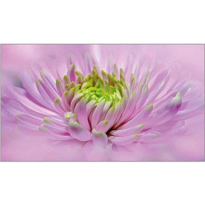 Pohľadnica A6 Dahlia