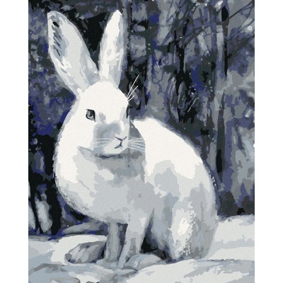 Malování podle čísel Králík v zimě u lesa