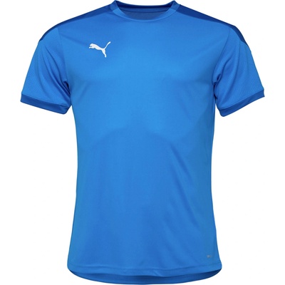 Puma pánske tričko TEAM FINAL 21 TRAINING JERSEY modrá biela