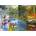 Alipson Puzzle - Puzzle Season Transitions - 1 000 piese