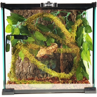 Repti Zoo Liana s přírodním mechem 1,5 cm x 2 m