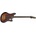 Schecter 293 HELLCAT VI 3TSBP
