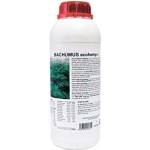  TRABE Bachumus Ecohemp-C 1L - стимулатор на растеж