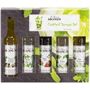 Monin Sada sirupov Cocktail Set 5 x 50 ml