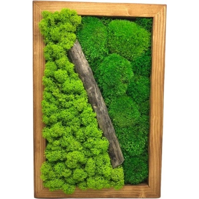 Machový obraz kombinácia s drevom 30x20cm