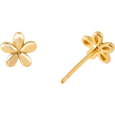 Majya stříbrné náušnice GEMMA pozlacené 11122