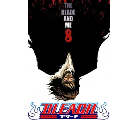 Bleach 8