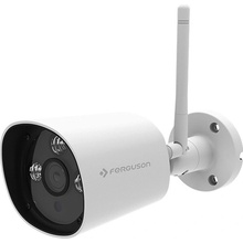 FERGUSON EYE 300