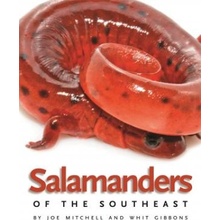 Salamanders of the Southeast