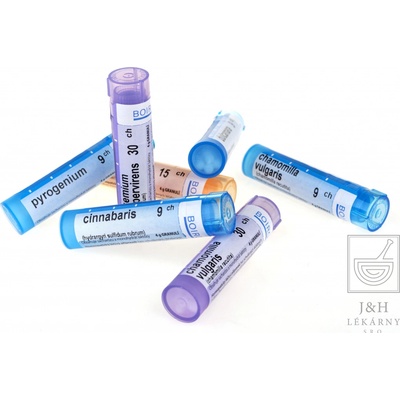 ARNICA MONTANA POR 15CH GRA 4G