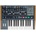 Arturia MiniBrute 2