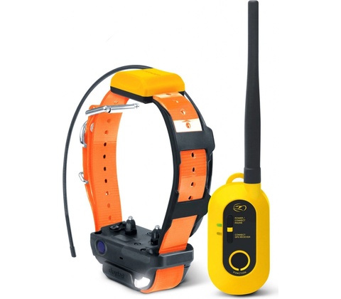 Dogtra PATHFINDER 2