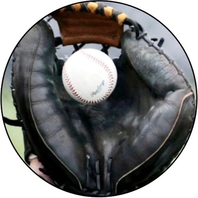 VIZINGR Baseball MAXI logo L 2 č.127