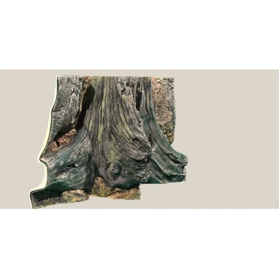 Back to Nature pozadie Amazonas 60 x 30 cm