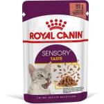 Royal Canin FHN Sensory Taste in Gravy 85 гр