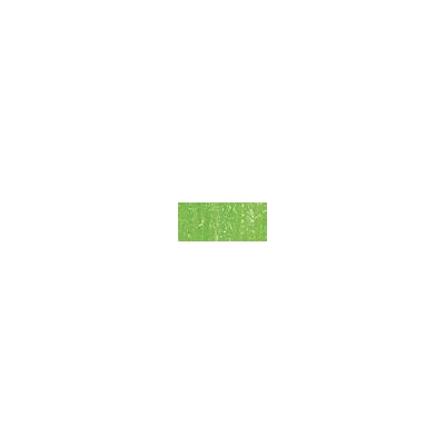 Sennelier suchý pastel 229 chromium green