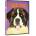 Beethoven DVD