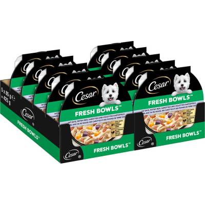 Cesar Fresh Bowls kachna v omáčce 40 x 85 g