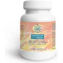 Herbalus Magnesium PRO ENERGII 90 tablet