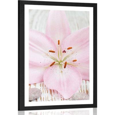 Plakát s paspartou růžová lilie a Zen kameny - 40x60 black