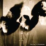 This Kind Of Punishment - Radio Silence / Reaching An End (Limited Edition) (Orange Translucent Coloured) (7") (0855985006925)