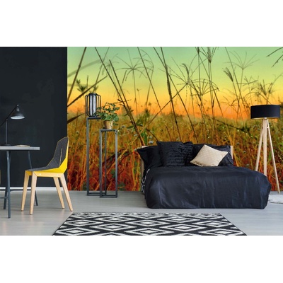 DIMEX ART Самозалепваща се флизелинова фототапета плевели 375 x 250 см