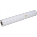 EPSON 529499