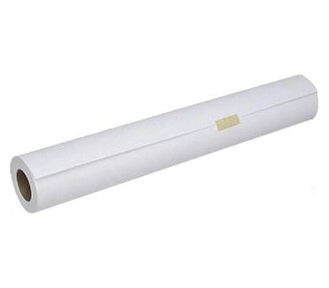 EPSON 529499