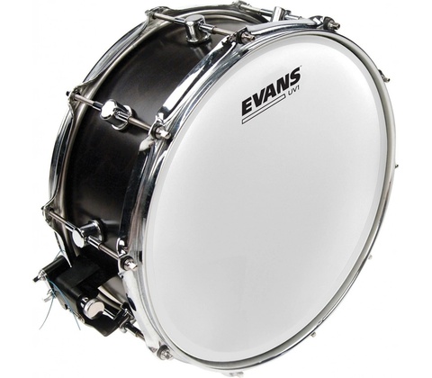 Evans UV1 14"