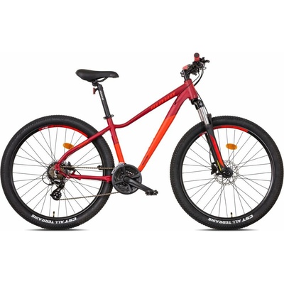 Mayo XC Basic D 2025