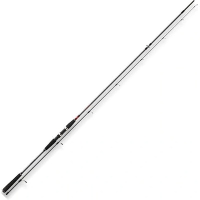 Daiwa Seahunter X Sea Trout 3,1 m 10-40 g 2 díly