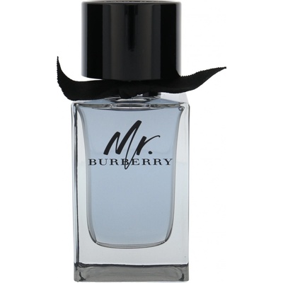 Burberry Mr. Burberry toaletní voda pánská 100 ml