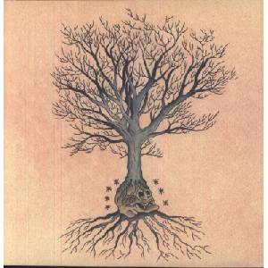 David Daniell & Douglas McCombs - Versions (2 LP) (0790377029116)
