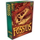 KTBG Fossilis