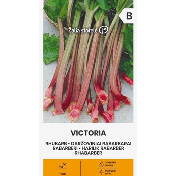 Image 1 of Seklos Ревен Виктория