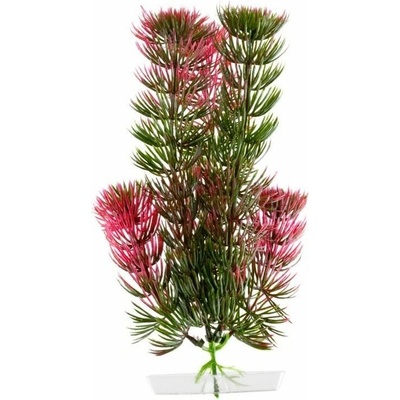 JK ANIMALS Red Anacharis 18-21 cm