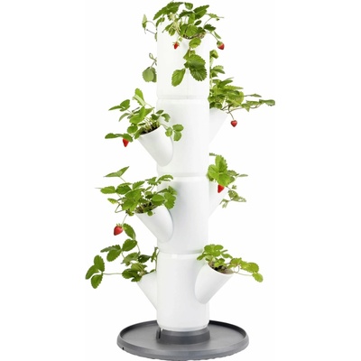 Gusta Garden GG-101569