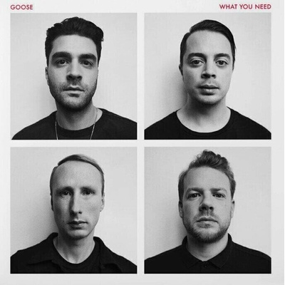 Goose - What You Need LP