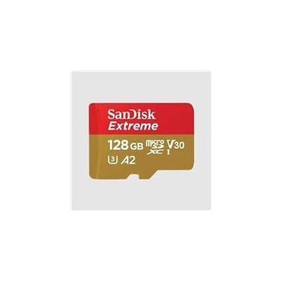 SanDisk SDXC UHS-I U3 128GB SDSQXAA-128G-GN6MA