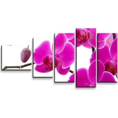 Sablio Obraz - 5-dílný Fialové Orchidey - 100x60 cm
