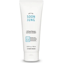 Etude House Soon Jung pH 5,5 Foam Cleanser 100 ml