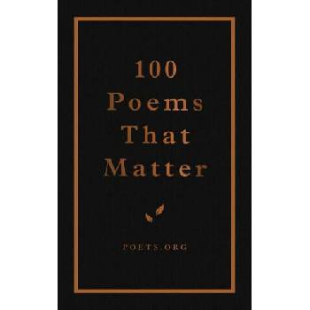 Image 1 of 100 Poems That Matter