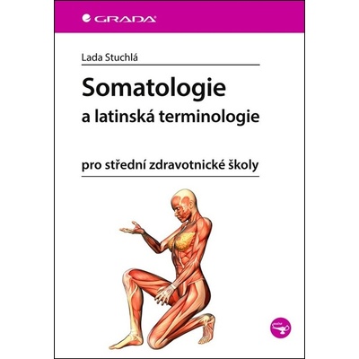 Somatologie a latinská terminologie