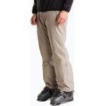 The North Face Мъжки скиорски панталони The North Face Descendit stone slab