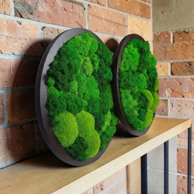 Sada machových kruhov s priemerom 40 cm - 3D obraz v čokoládovom ráme