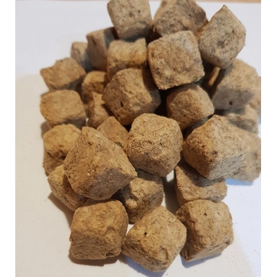 Artemia Koral Lyofilizovaná artémie kostky 100 g